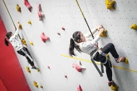 跟队记者：阿莱格里明确要求冬窗买前锋；米兰没考虑齐尔克泽