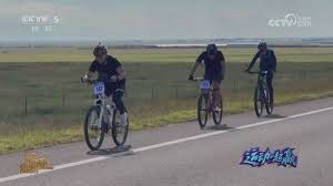 博彩业数据泄露事件2025年下降40%